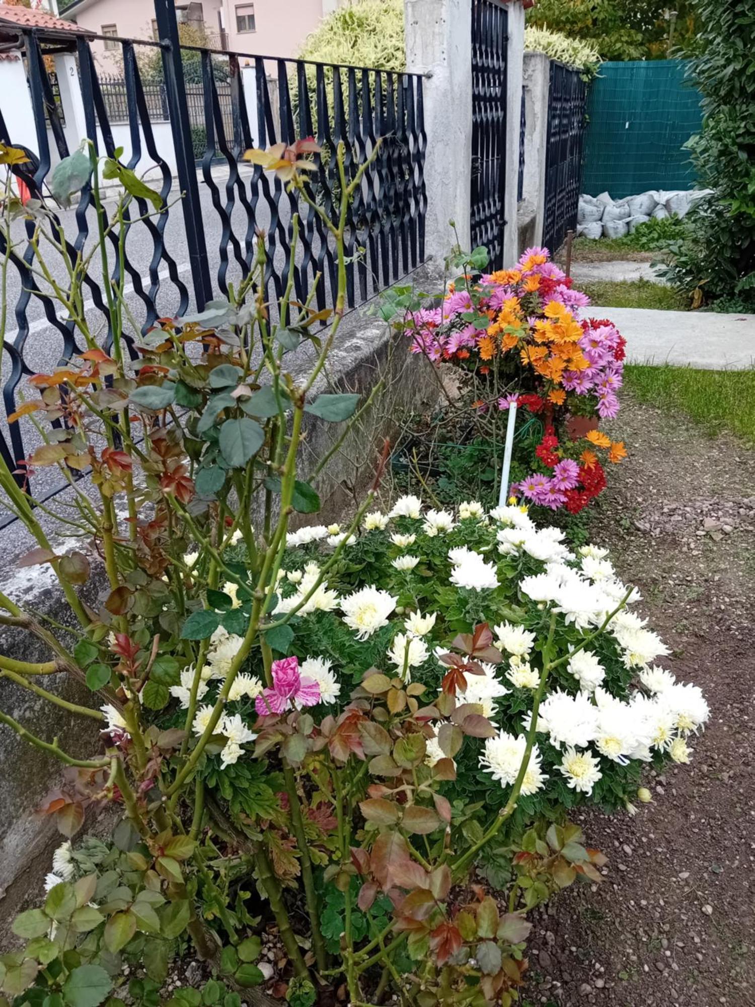 Villa Azzurra Monfalcone Eksteriør billede